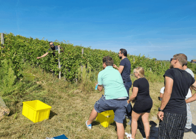 Lancé de bouchon dans les vignes